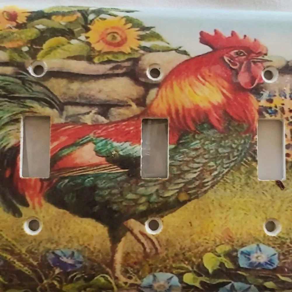 4@30.00 or 20.00 Home Decor/𝅺Decorative Outlet/Switch Plates